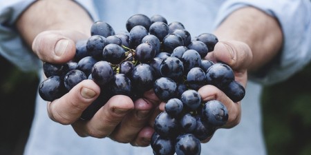 Sicilia - Visita al Vigneto, cena e degustazione di vini da agricoltura biologica a Marsala